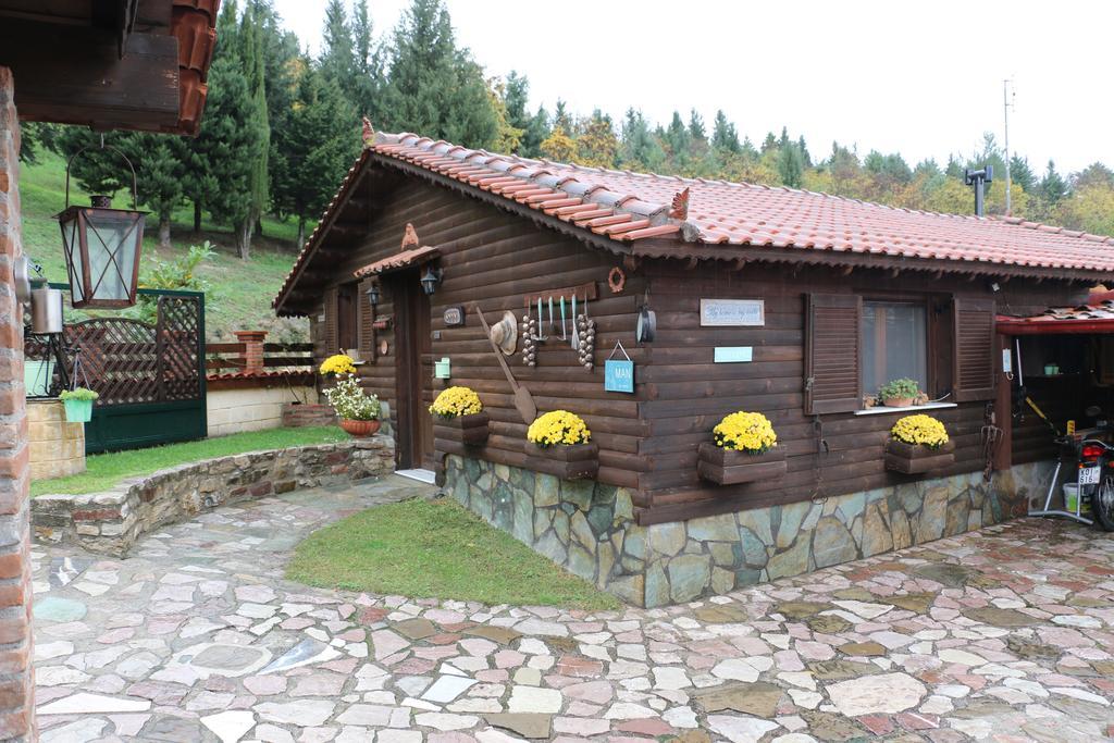 Traditional Guesthouse Tríkala Exterior foto